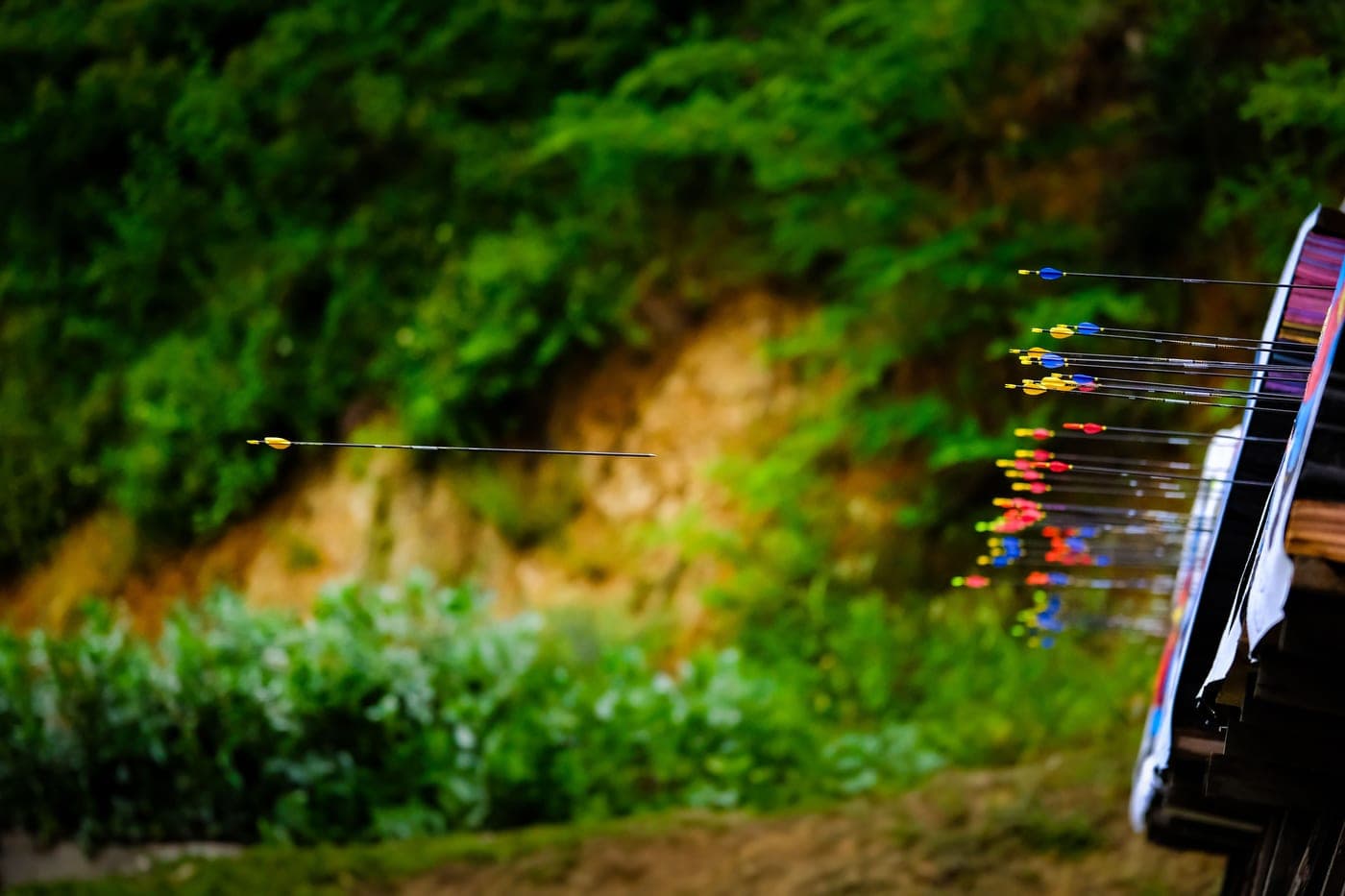 A compound bow resting against a tree at the edge of a creek bottom at dawn